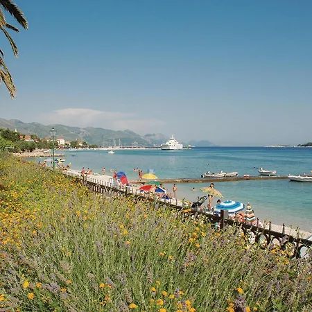 Gorgeous In Dingac With View Gornji Dingač