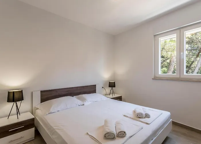 Gorgeous In Dingac With View 公寓 Gornji Dingač